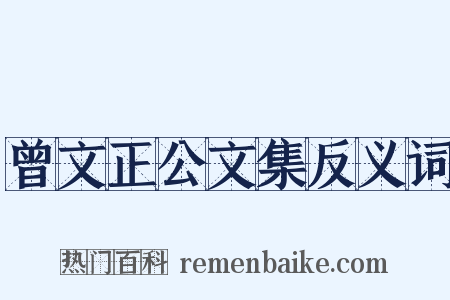 曾文正公文集反义词是什么意思的图片